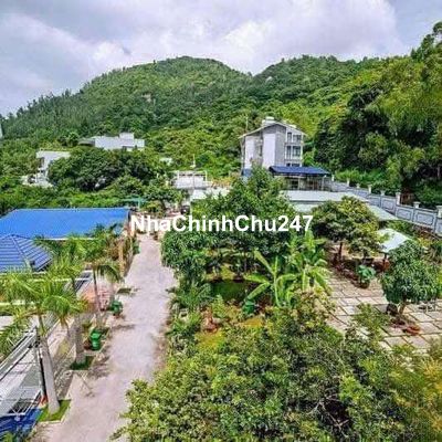 Chính Chủ gửi Bán resot trền phú 3600m2 giá 50tr 1m2