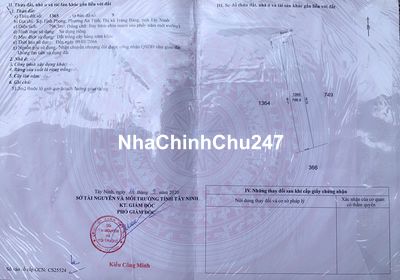 Chính chủ bán 800m2 tại Trảng Bàng, Tây Ninh 10x80 phủ hồng toàn bộ