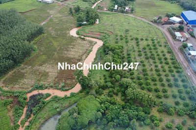 BÁN RẺ 10.894m2 đất tại BÙ GIA MẬP, BÌNH PHƯỚC