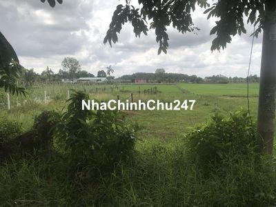 Đất chính chủ,xã phước hiệp