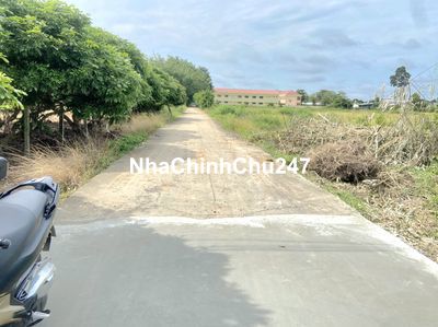 490tr __SÁT SÂN BANH,TRƯỜNG HỌC TRUÔNG MÍT🔻ĐƯỜNG BÊ TÔNG 5*47M CÓ TC🔻