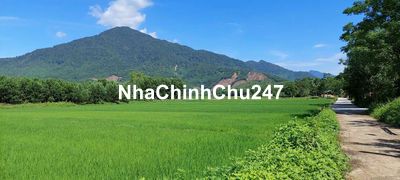 539m2 có 150m2 đất ở ngang 28m view cánh đồng 2 mặt kiệt