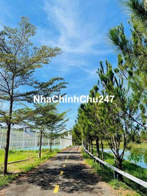 CẮT LỖ LÔ ĐẤT VIEW SÔNG!!! CÁCH ĐỒI CHÈ TÂM CHÂU 1KM MẶT TIỀN 500Tr