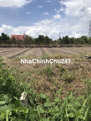 Chính chủ bán 1580m2 đất hẻm TL923