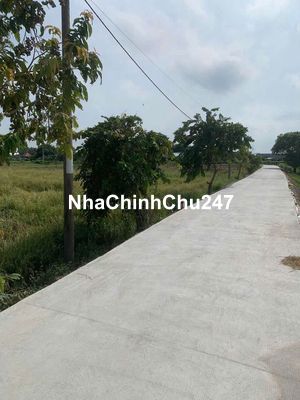 Chủ cần tiền bán gấp đất lúa xã Tân quy tây