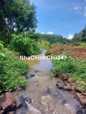 Chính Chủ Bán Gấp 1033m2 Thổ Cư Full Sổ Hồng Riêng,Suối,Dt, Tân Hưng,