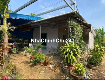 CHÍNH CHỦ NGỘP ĐẤT CẦN RA GẤP SÀO ĐẤT 1100M2, 100M2 THỔ CƯ HXH CÓ SHR