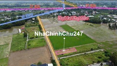 Cắt lỗ 184m2 mặt tiền nhựa 9m Mỹ Lệ Cần Đước .