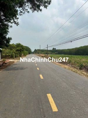 đất bình dương, 4200m2 , đất cây lâu năm, mặt tiền đường nhựa, sổ hồng