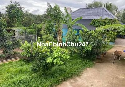 CHỦ ĐẤT KẸT NGÂN HÀNG NÊN CẦN RA GẤP SÀO ĐẤT 1290M2, 130M2 THỔ CƯ SHR