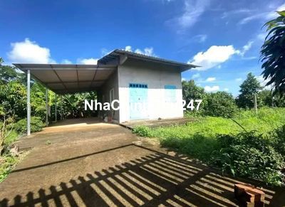 NGỘP BANK!! CẦN RA GẤP ĐẤT SÀO 1200M2 CÓ 120M2 THỔ CƯ MẶT TIỀN XE LỚN