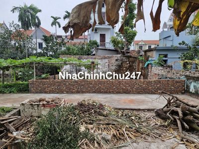 CHÍNH CHỦ BÁN ĐẤT THỔ CƯ MẶT TIỀN TRUNG TÂM HẠ MỖ-ĐAN PHƯỢNG