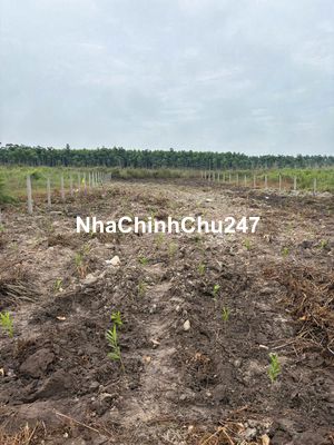 Đất Chơn Thành Đáng Đầu Tư Sổ Sẵn Chinh Chủ 350TR/ 1000m2. Bình Phước