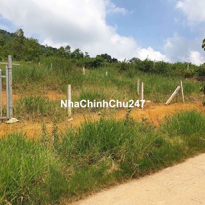 Hơn 1000m2 sẵn thổ cư đất view thuộc Lộc Thành_ Bảo Lâm