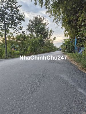 Bán đất đường bờ chùa phước hậu cần giuộc long an 6x25 full thổ 2ty2