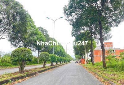 Bán nền duong Phuong hoang 110m2, kdc Hoang quan, bình minh, ving long