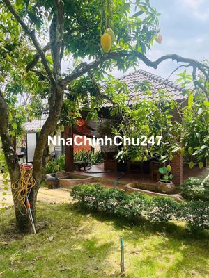 Cần bán mảnh vườn 2500m2(25*100)có thổ cư có nhà Cấp 4 , Bình Dương