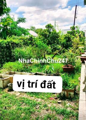 Bán đất chính chủ