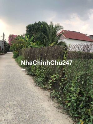 ĐẤT THỔ CƯ. 1/ĐÔNG THẠNH 8. ĐƯỜNG THÔNG XE TẢI. KHU DÂN CƯ HIỆN HỮU.