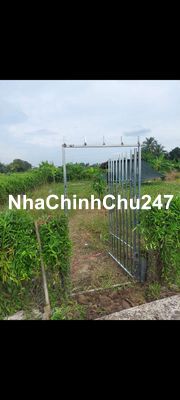 Đất vườn ở vĩnh công, châu thành, long an