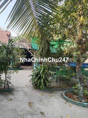 ✅ Kẹt tiền cần bán gấp đất chính chủ HXH , xã Hoà Thành Tỉnh TN