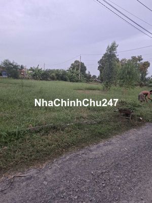 5 x 38 MT đá xanh, 1 xẹt nhựa Châu Văn Liêm ngay trung tâm huyện