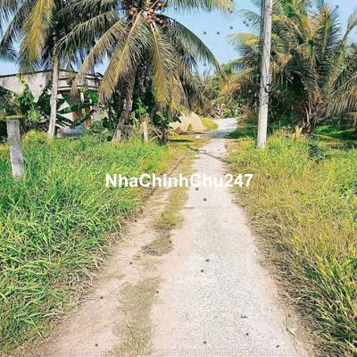 BÁN NỀN 8x35 ĐẤT CÂY LÂU NĂM, QUY HOẠCH THỔ CƯ