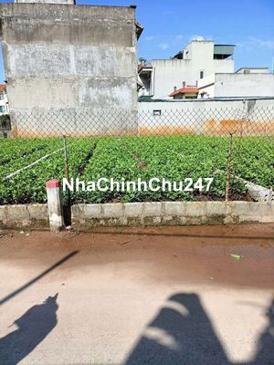 🌽 👉BÁN ĐẤT TRỤC CHÍNH KINH DOANH ĐỈNH THƯ PHÚ- THƯỜNG TÍN - HÀ NỘI