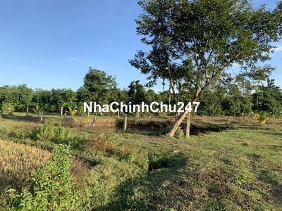 2,4 sào TC400m2 view đẹp sau trường No Trang Long xã Eatieu 1,09ty