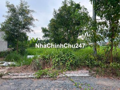 Mặt tiền đường nhựa gần Chợ vượt lũ P8