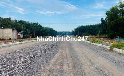 Chính chủ bán 3 lô đất tp bến cát 386m2/ 1 lô sổ sẵn