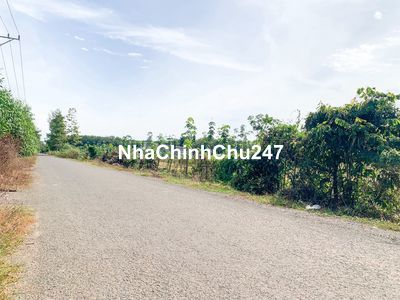 BÁN GẤP MTN (50X43=2.250m2) FULL SỔ HỒNG RIÊNG XÍ NGHIỆP ĐÔNG 38TR/MN