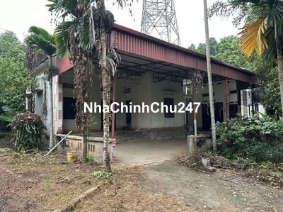 CHÍNH CHỦ ĐỊNH CƯ CẦN BÁN GẤP SÀO ĐẤT 2385M2 CÓ 200M2 THỔ CƯ GIÁ MỀM