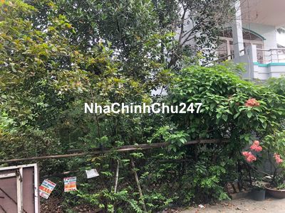 Chính chủ bán gấp 165m Đất hẻm QL1A, Bình Hưng Hòa