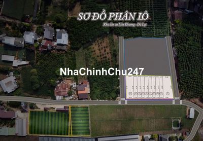 ĐẤT AN CƯ, ĐẤT PHÂN LÔ ĐỨC TRỌNG GIÁ 520 TRIỆU