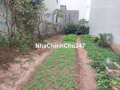 Bán đất Thanh Xuân, 100m2, mt5.5m, ô tô, 4 tỷ, Sóc Sơn.