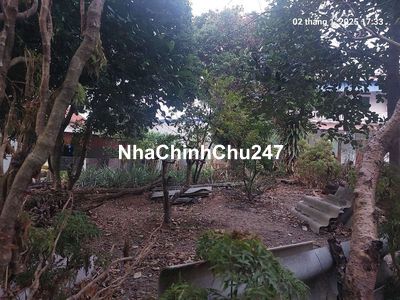 Full thổ cư, 272m2, mt11m, ô tô 7 chỗ, 5.3 tỷ, Phú Cường, Sóc Sơn.