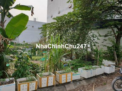 Đất thổ cư 10x17 sẹc Bà Điểm 4, gần trường Bùi Văn Ngữ- chợ Bà Điểm HM