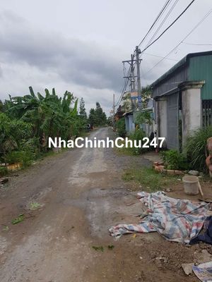 Chính chủ cần bán nhanh đât đường thanh niên, bình chánh