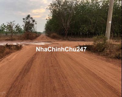 Đất chính chủ cần bán 1000m2 giá 350 triệu sổ sẵn mua bán nhanh gọn