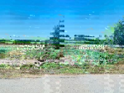 Chính chủ bán gấp 2200m2 có 100m tc dân đông,đường nhựa giá rẻ 985tr