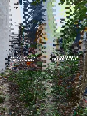 Bán đất chính chủ tân chánh hiệp , Q.12