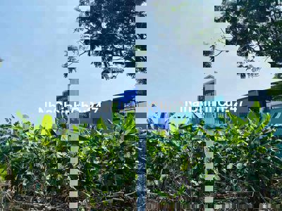 🔥🔥CHÍNH CHỦ GỬI BÁN LÔ ĐẤT ĐẸP 2 MẶT TIỀN – BÁ TÙNG 3, HÒA QUÝ – ĐƯỜNG