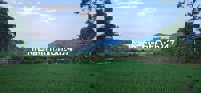 ĐẤT CHÍNH CHỦ, cạnh KCN Tân Hương