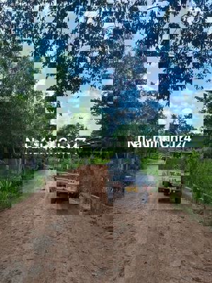 Bán đất chính chủ