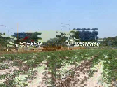 CHÍNH CHỦ CẦN BÁN ĐẤT ĐƯỜNG SỐ 5 GIÁ 580TR, 250M2 THỔ CƯ