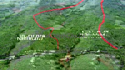 chính chủ cần bán 10ha tại quốc lộ 29c