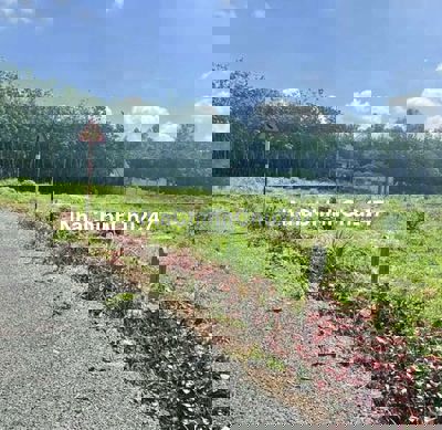 Lô đất mặt đường nhựa. Sổ hồng sẵn. Dầu Tiếng BD