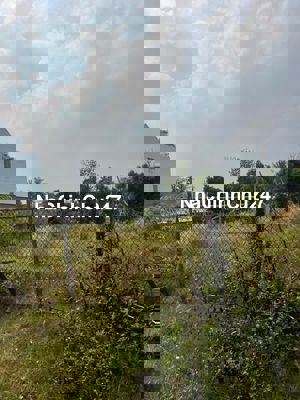 Đất sổ sẵn,xây dựng tự do,100m2,thổ cư 100%,đường nhựa 8m,sát bên TTHC