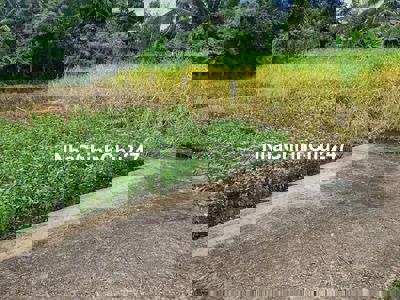 Chính chủ cần bán đất đường Long Khánh , Xã P Hậu, C Giuộc, Long An